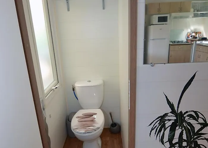 L'imprevu Meschers-sur-Gironde